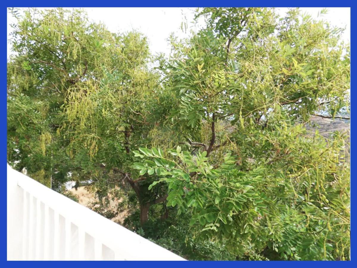 Ferienwohnung Kampos View Ikaria Évdilos Exterior foto