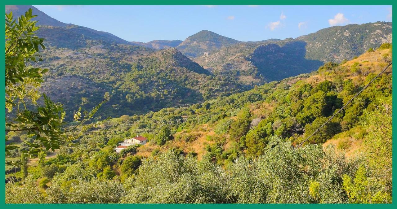 Ferienwohnung Kampos View Ikaria Évdilos Exterior foto